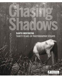 Chasing Shadows