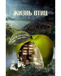 Жизнь птиц