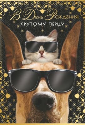 Открытка "В День рождения! Крутому перцу"