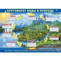 Демонстрационный плакат &quot;Круговорот воды в природе&quot; (без упаковки)