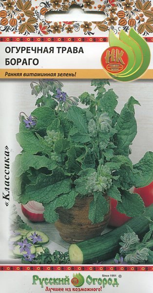 Семена. Огуречная трава "Бораго" (вес: 0,5 г)
