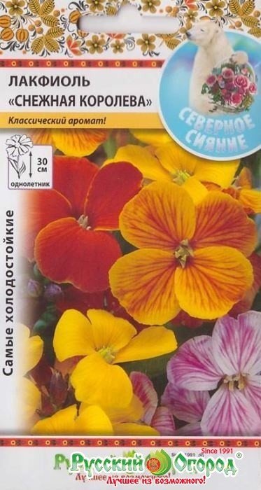Семена. Цветы. Северное сияние. Лакфиоль "Снежная Королева", смесь (100 штук)