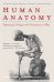 Human Anatomy