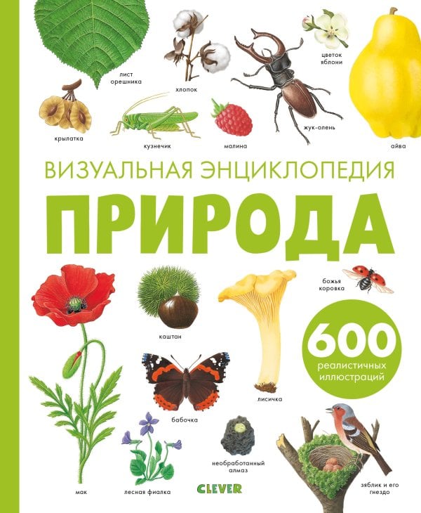 Обложка книги «Природа. Визуальная энциклопедия» — Бадреддин Д., ISBN 9785001157847