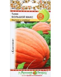Семена. Тыква "Большой Макс" (вес: 1 г)