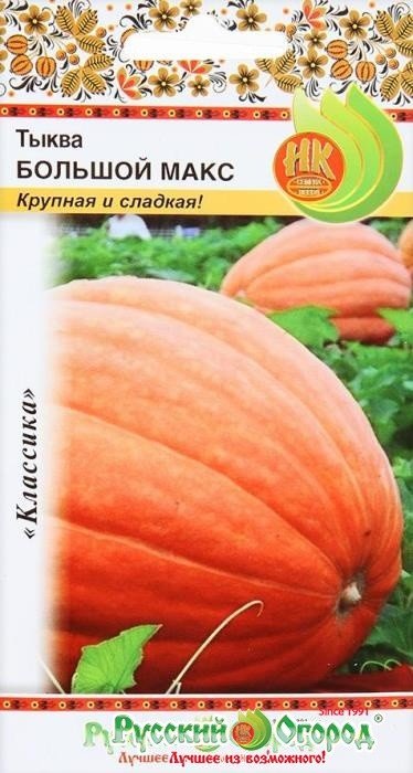 Семена. Тыква "Большой Макс" (вес: 1 г)