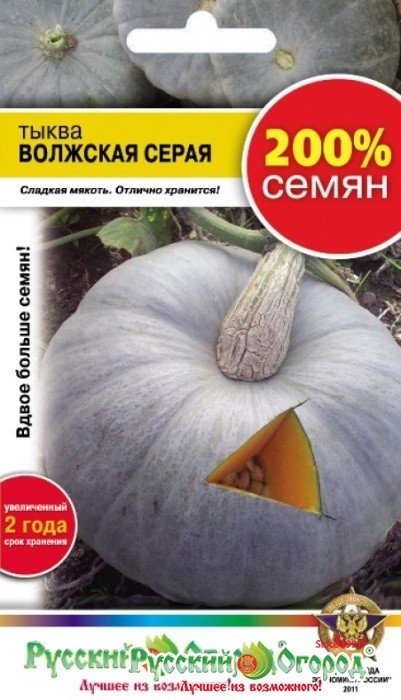 Семена. Тыква "Волжская серая 92" (вес: 4 г)