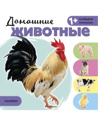 Домашние животные