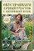 Обустраиваем дачный участок с Антониной Лесик