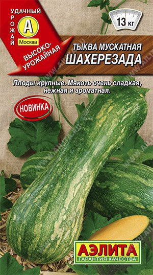 Семена. Тыква мускатная "Шахерезада" (вес: 1 г)