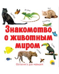 Знакомство с животным миром