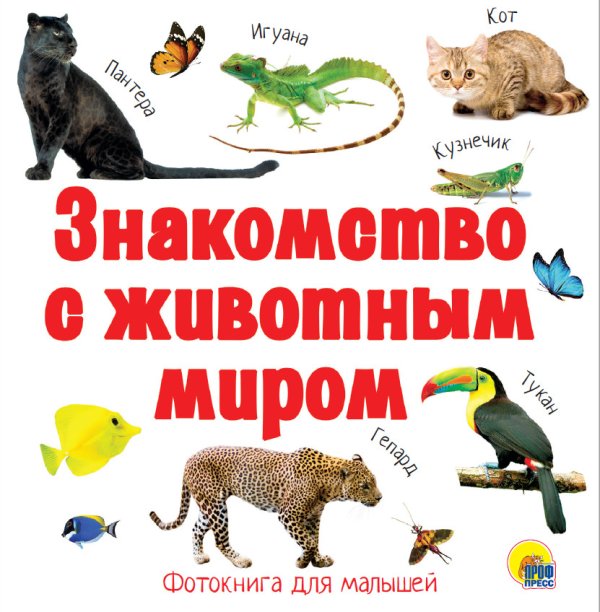 Знакомство с животным миром