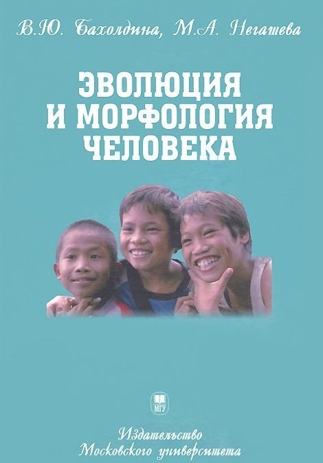 Эволюция и морфология человека