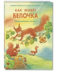 Как живёт белочка. Познавательные истории 