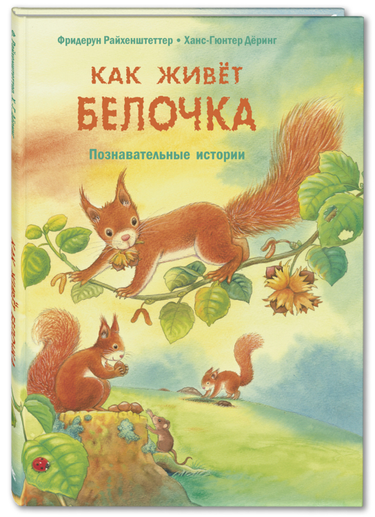 Как живёт белочка. Познавательные истории