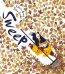Обложка книги «Sweep» — Greig Louise, ISBN 9781405283779