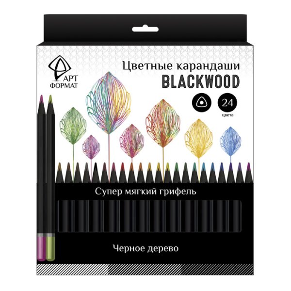 Обложка книги «Набор карандашей "Blackwood", 24 цвета, трехгранные»