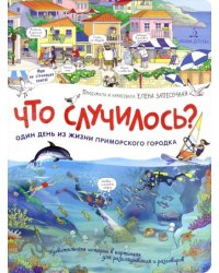 Что случилось? История приморского городка
