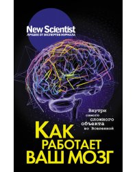 Как работает ваш мозг