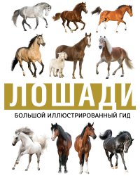 Лошади