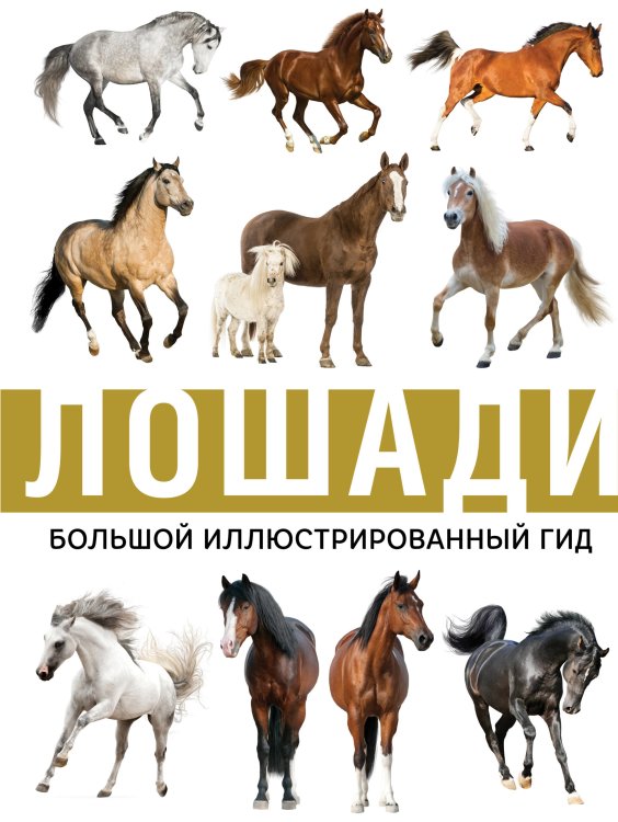 Обложка книги «Лошади», ISBN 9785171142612