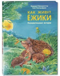 Как живут ёжики 