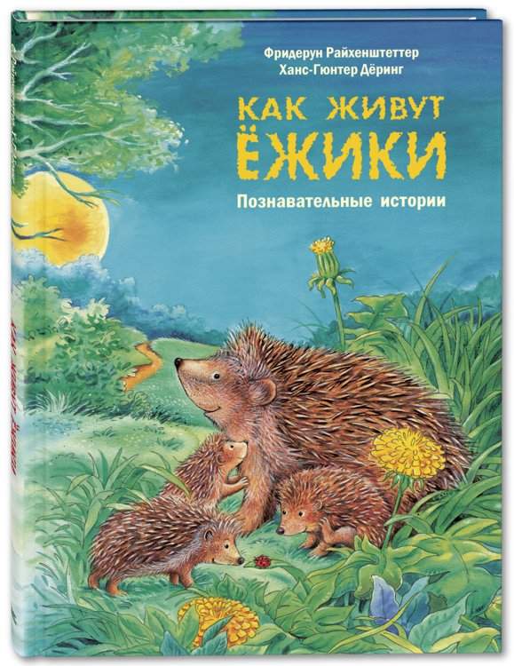Как живут ёжики