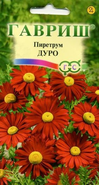 Семена. Пиретрум "Дуро" (вес: 0,2 г)