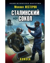 Сталинский сокол. Комэск