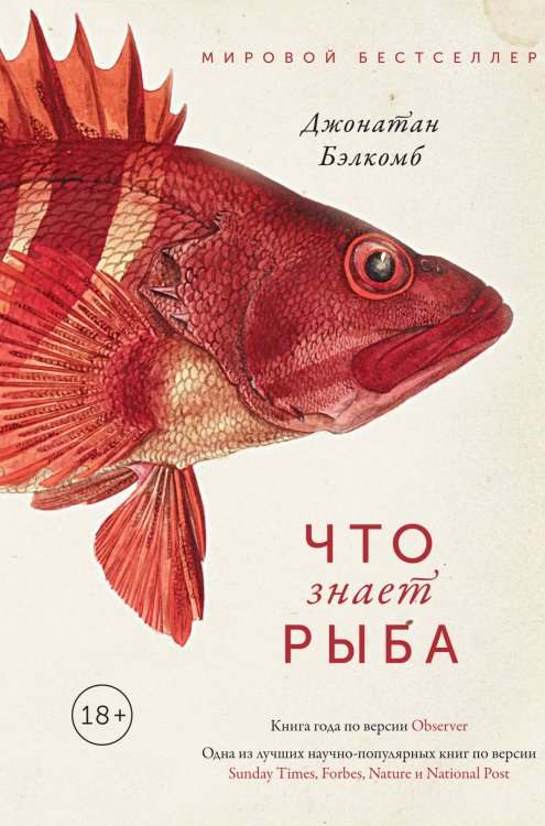 Обложка книги «Что знает рыба» — Бэлкомб Дж., ISBN 9785389143661