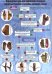 Наглядный определитель кустарников средней полосы России в осенне-зимний сезон