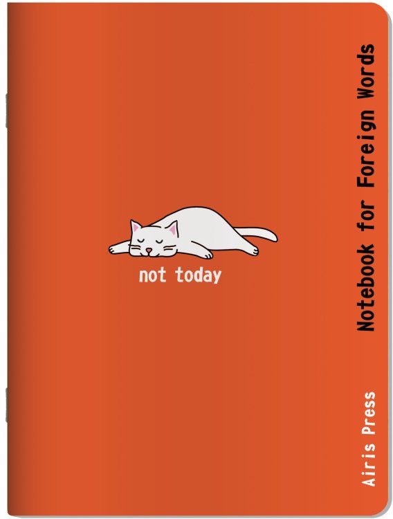 Тетрадь для записи иностранных слов (Белая кошка)