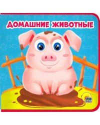 Домашние животные