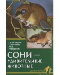 Сони-удивительные животные. Обзор видов. Содержание. Уход. Разведение