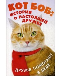 Кот Боб: история о настоящей дружбе. Комплект в 2-х книгах: Кот Боб: во имя любви; Боб - необычный кот (количество томов: 2)