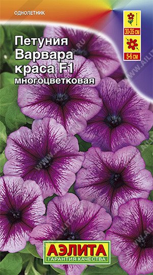 Семена. Петуния многоцветковая "Варвара Краса F1", однолетник (драже в пробирке, 10 штук)