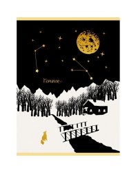 Тетрадь для конспектов "Зимнее небо", А4, 96 листов, клетка
