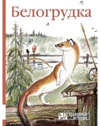 Белогрудка