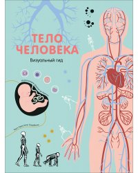 Тело человека. Визуальный гид