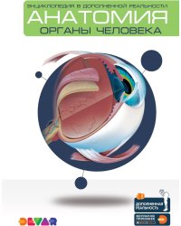 Анатомия. Органы человека. Энциклопедия в дополненной реальности