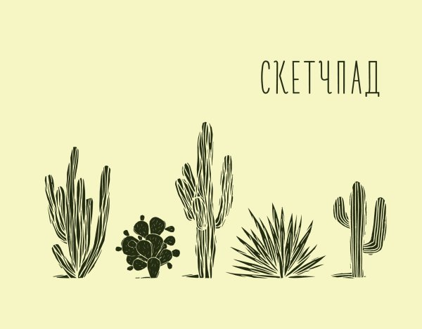 Обложка книги «Кактусы. Скетчпад»
