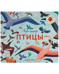 Звуки природы. Птицы