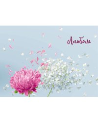 Альбом для рисования. Астры