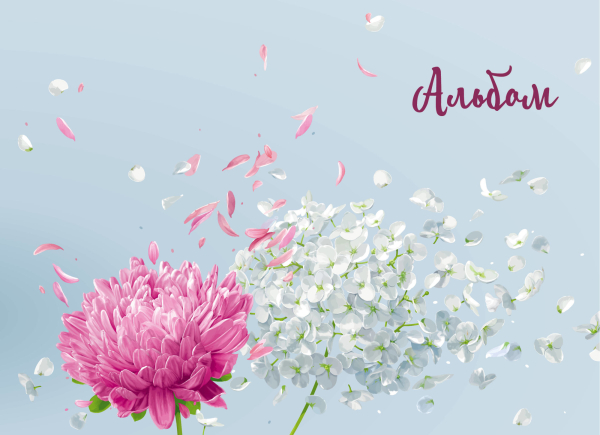 Альбом для рисования. Астры