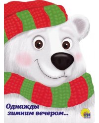 Однажды зимним вечером…