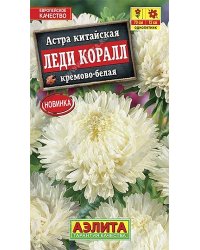 Семена. Астра "Леди Коралл", кремово-белая, однолетник (вес: 0,05 г)