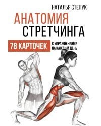 Анатомия стретчинга. 78 карточек с упражнениями на каждый день