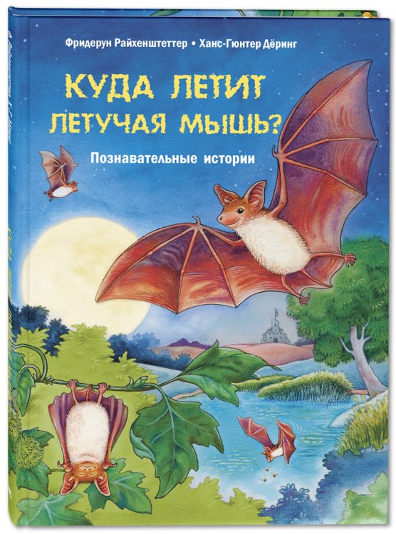 Давай познакомимся Куда летит летучая мышь? Познавательные истории