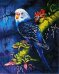 Алмазная вышивка (мозаика) "Попугай", 40x50 см