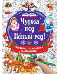 Чудеса под Новый год! Загадки, головоломки и лабиринты